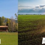 Difference Between a Ranch and a Farm