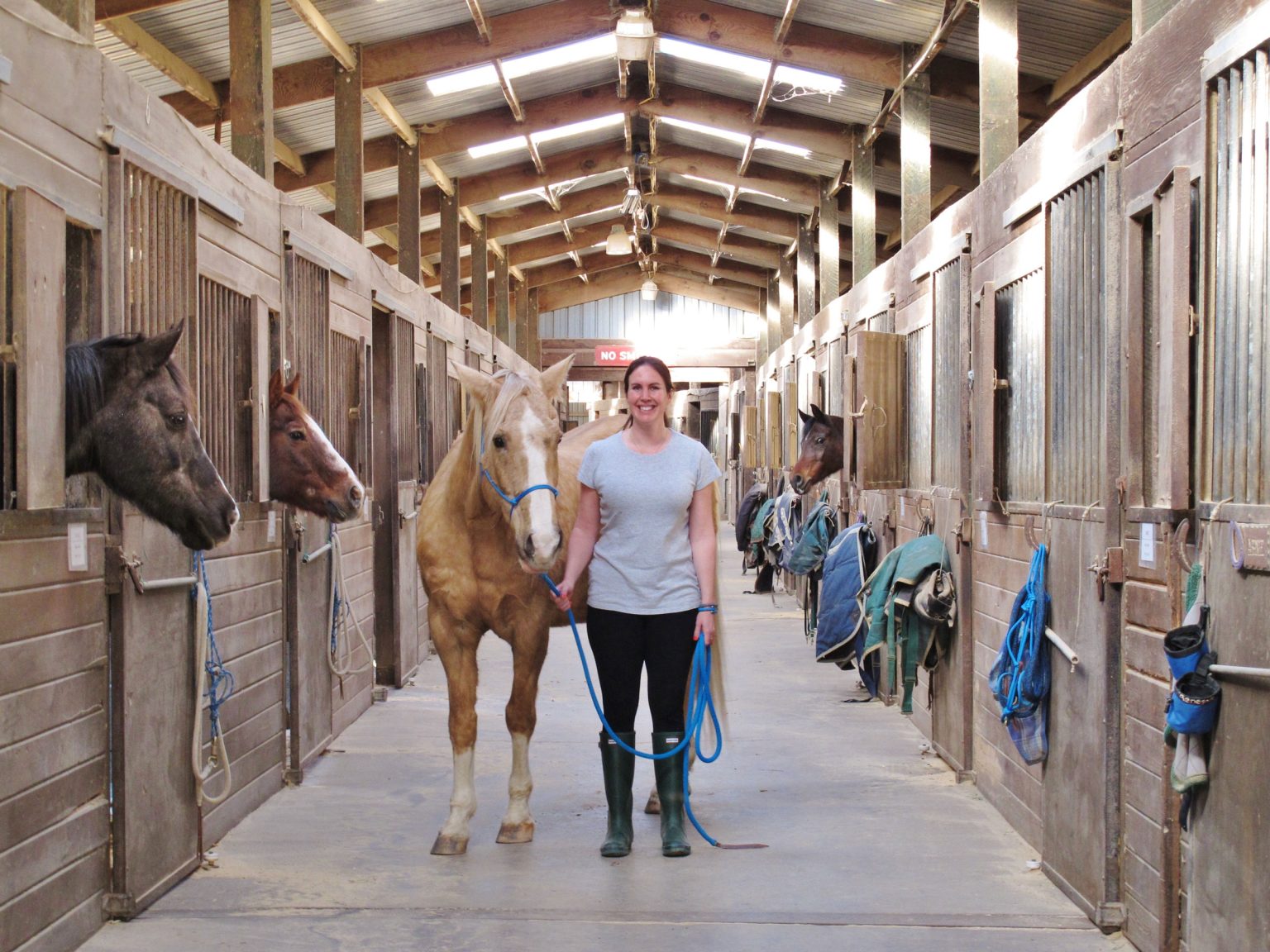 Planning a Comfortable Full Boarding Experience for Your Horse