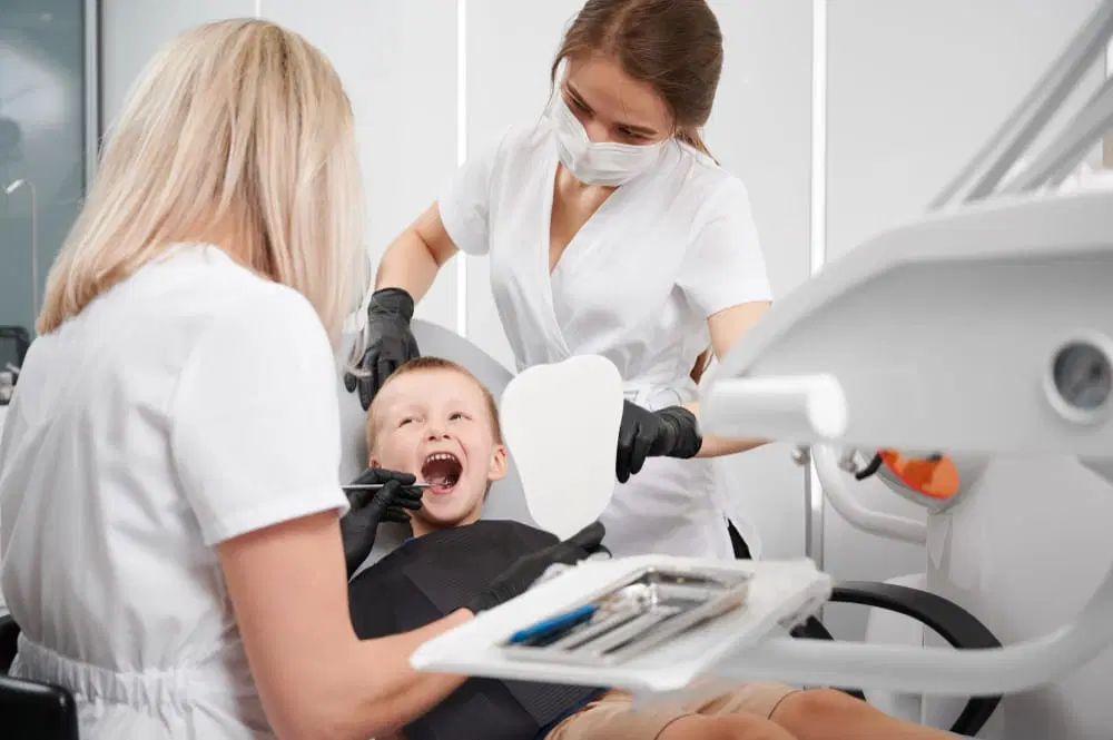 How Family Dentists Provide Long Term Guidance For Oral Growth