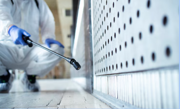 How to Keep Your Commercial Property Pest-Free All Year