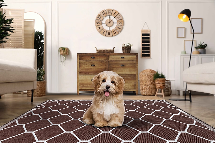 Are Polypropylene Rugs Safe for Pets and Kids?