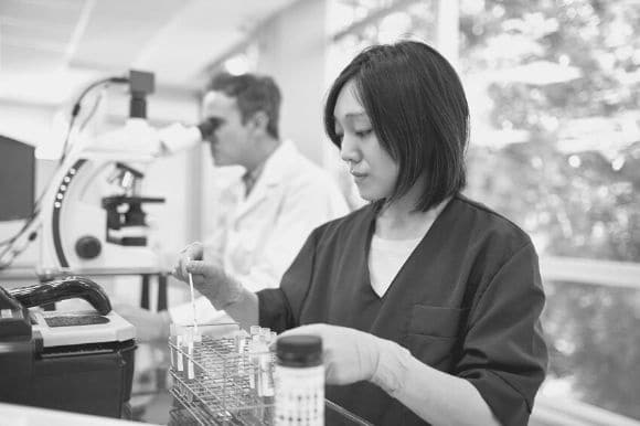 Establishing a Pre-Employment Drug Screening Policy